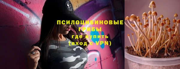 мдпв Лагань