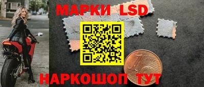 сатива Кингисепп