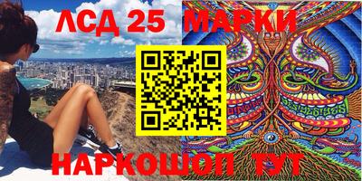 сатива Кингисепп