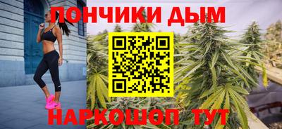 сатива Кингисепп