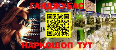 сатива Кингисепп