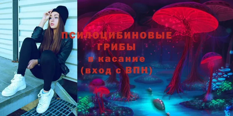 OMG ссылки  Нижнекамск  Псилоцибиновые грибы Magic Shrooms 