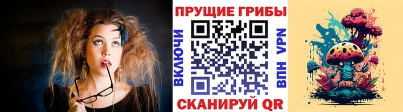 Псилоцибиновые грибы мицелий  Нижнекамск 